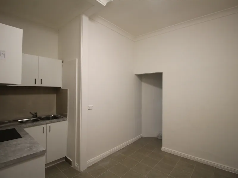 OVERSIZED ONE BEDROOM APARTMENT - RECENTLY RENOVATED