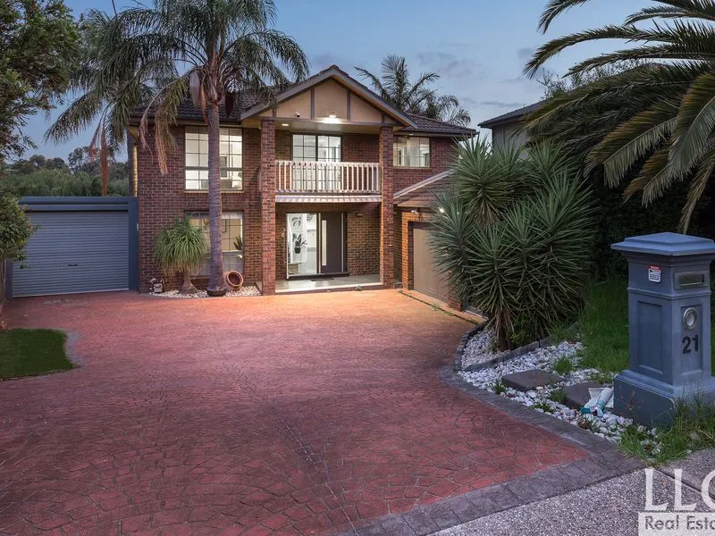 Tropical Family Paradise