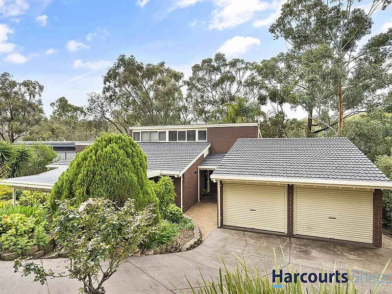 A feel-good entertainer's home amongst leafy serenity