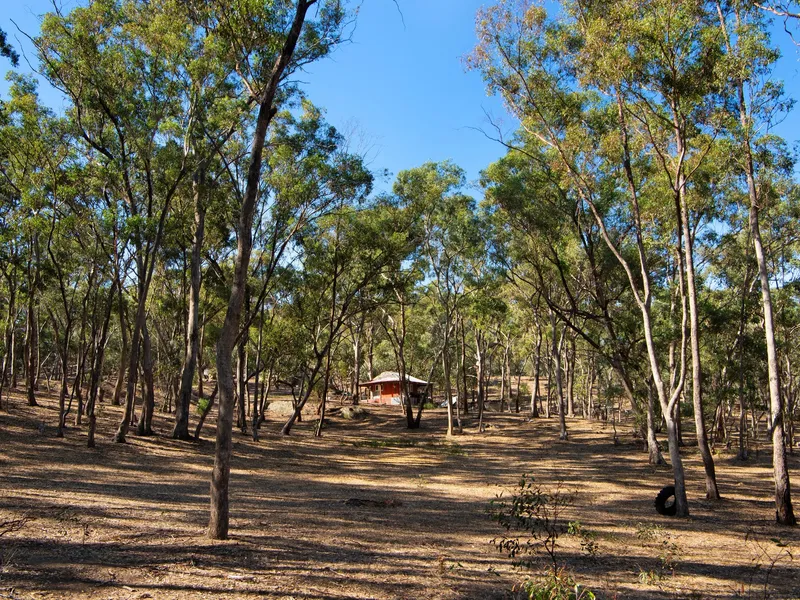 10 acre native bush-land retreat with glamper's shack.