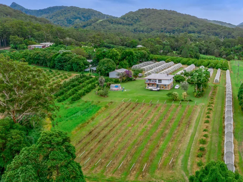 16.2 HECTARES OF STUNNING RURAL ACREAGE + AN IMMACULATE 3 BEDROOM HOME!