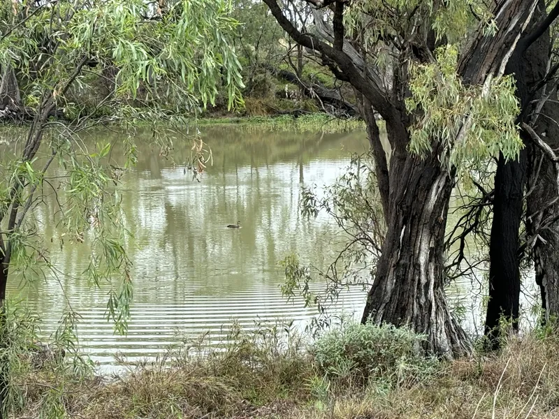LAST FEW ALLOTMENTS AVAILABLE AT THE NATURAL HERITAGE AND WATER PARK