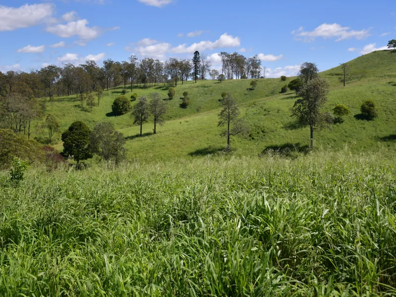 The Palms - Blue Chip Breeding and Fattening Country positioned in the renowned Upper Yarraman / Cooyar District