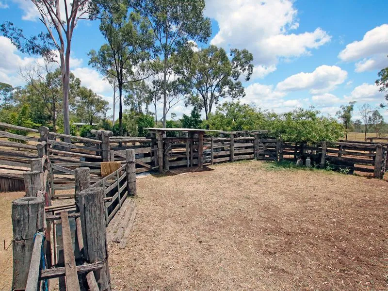 25 DAMS, 25 PADDOCKS , 2 BORES ,TURKEYS NEST AND 4389 ACRES OF CATTLE COUNTRY