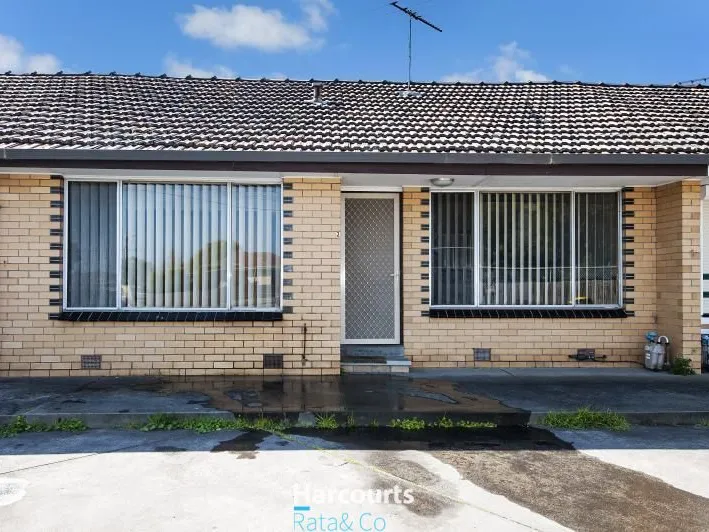 Everything You Need Plus More!