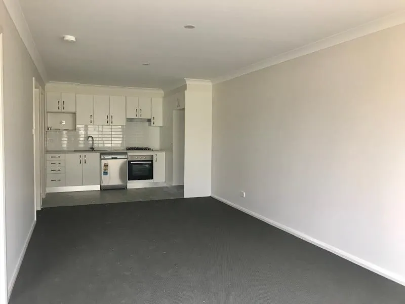 BRAND NEW DUPLEX UNIT