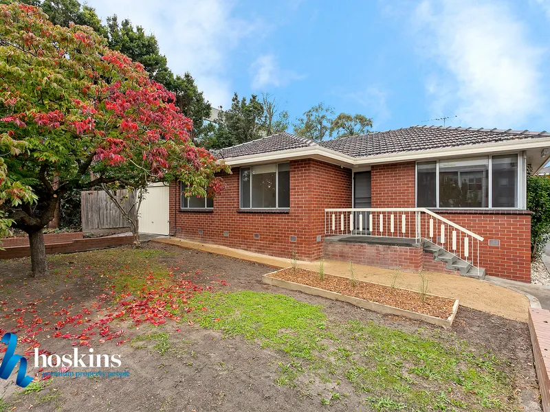 Modern, appealing and well located