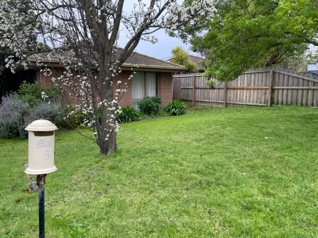 I need work, Knock me down, renovate or Develop me!