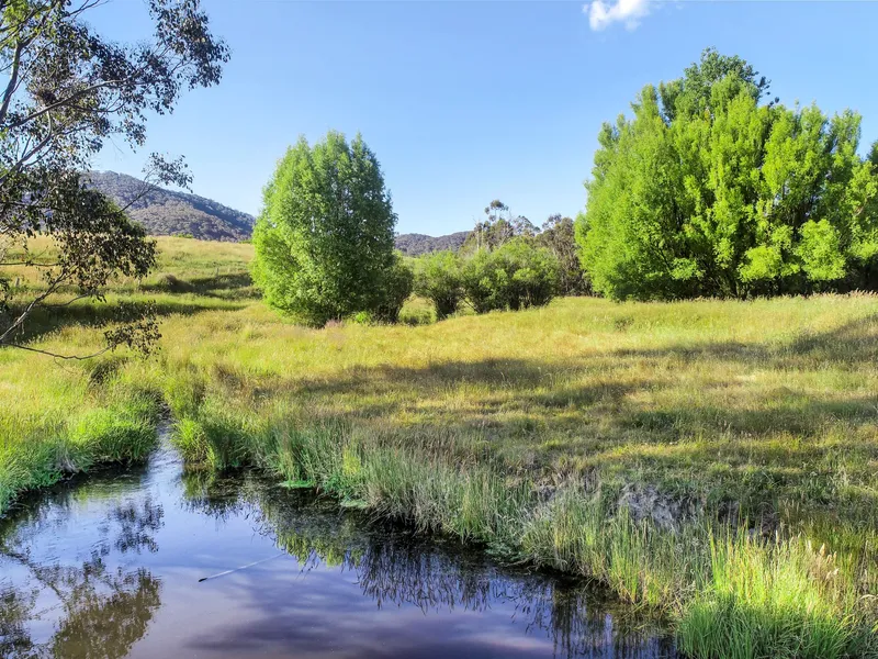 OVER 130 ACRES ON NORTH CREEK