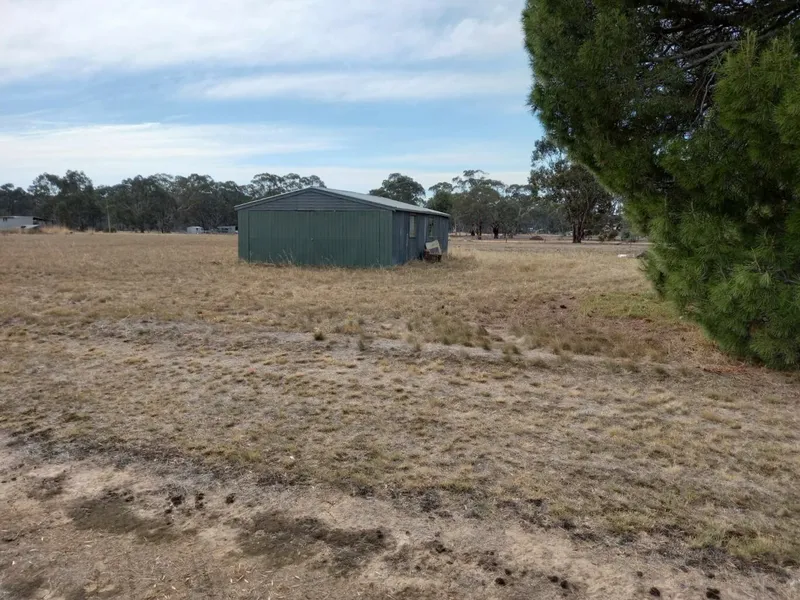 Don’t Lose The Plot