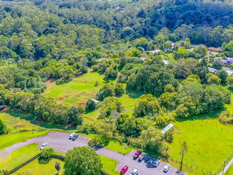 Rare Earth on Tamborine Mountain!