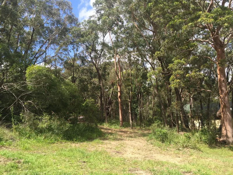 Beautiful Vacant Land In Quiet Street 