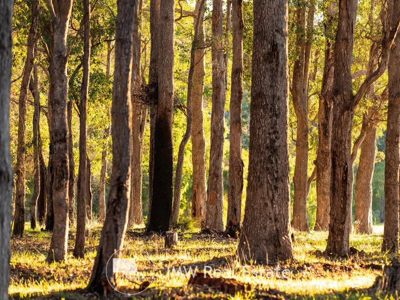 BY THE TOWN BY THE SEA