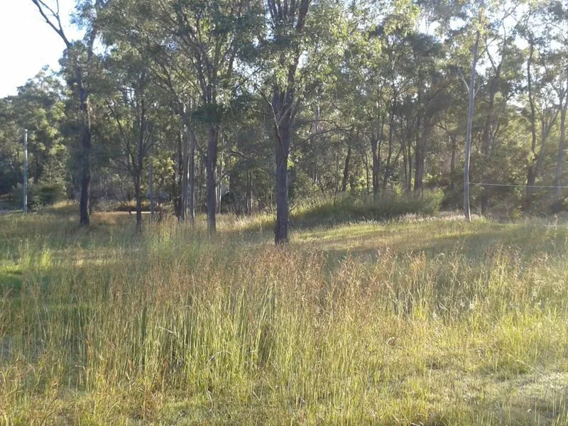 READY TO BUILD 1/2 ACRE BLOCK WITH DAM