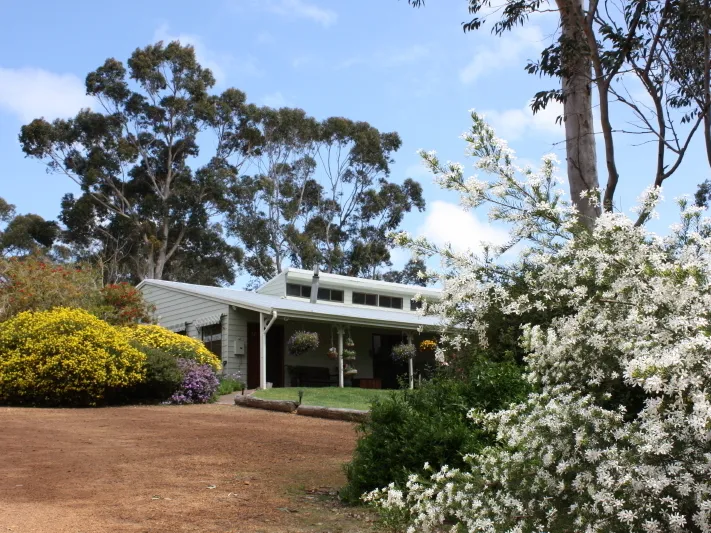 Beach, bush and river