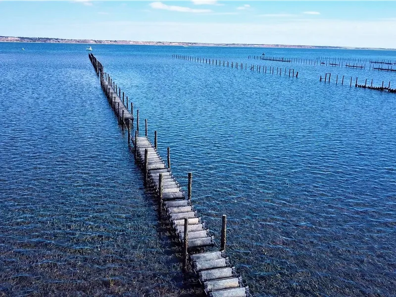 Oyster Farm For Sale