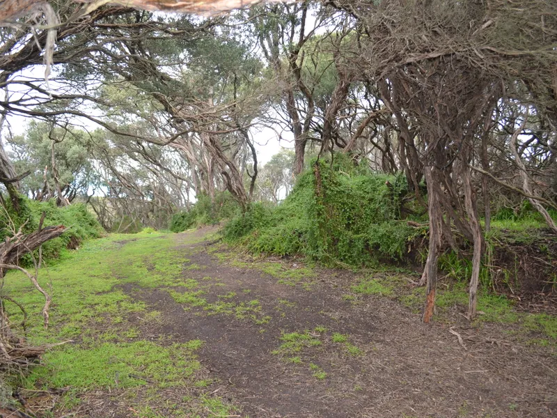 NESTLED AMONGST COASTAL RESERVE