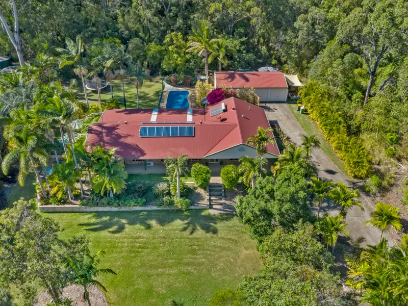 Rainforest Setting Close to Yeppoon