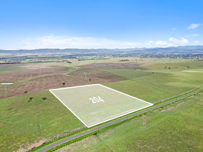 Lot 204 