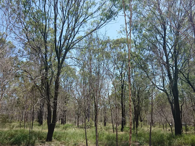 Build your dream home on this lovely 5 acre block