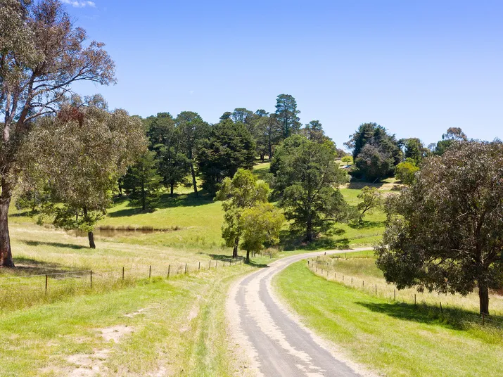 20 Acres - Rural Lease