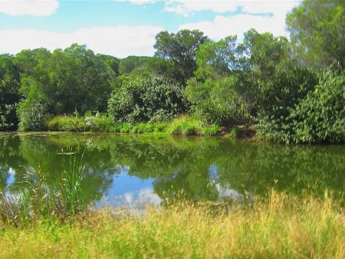 LIFESYTLE WITH INCOME - 2 HOMES - 2 TITLES