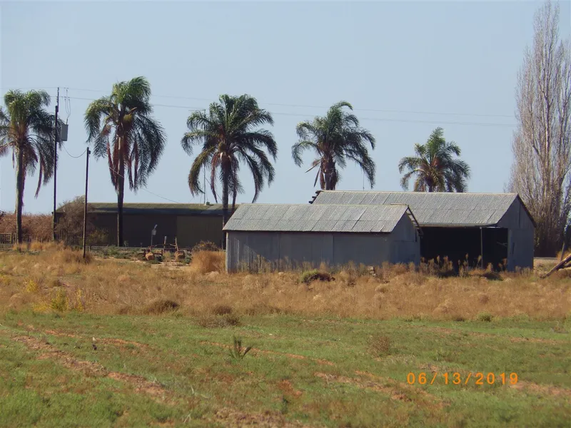 Prime Land for Horticulture - 11.51H - 28.5ac