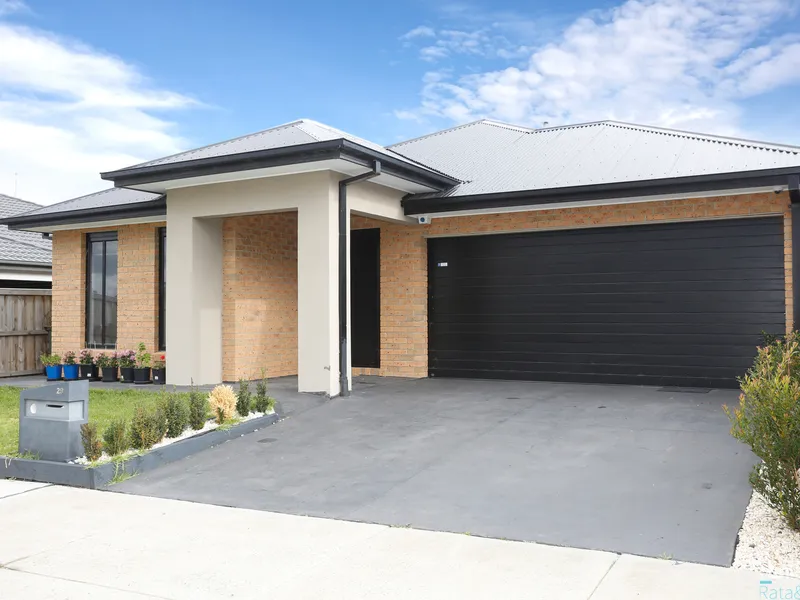 All The Bells & Whistles