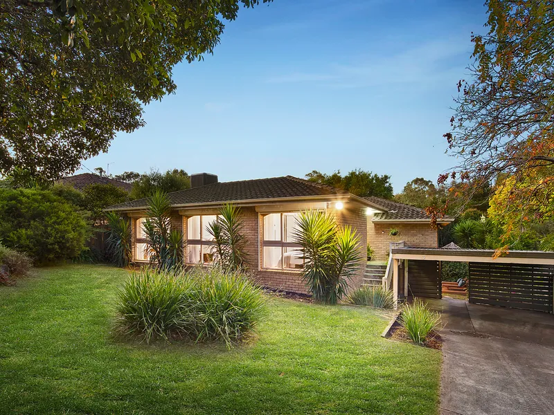 Family Entertainer with a Tropical Touch