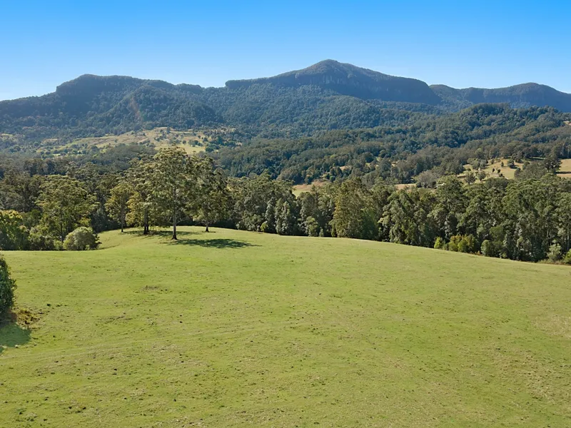 Large Grazing or Lifestyle Property