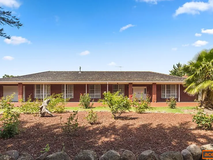 Big Family? No Problem!