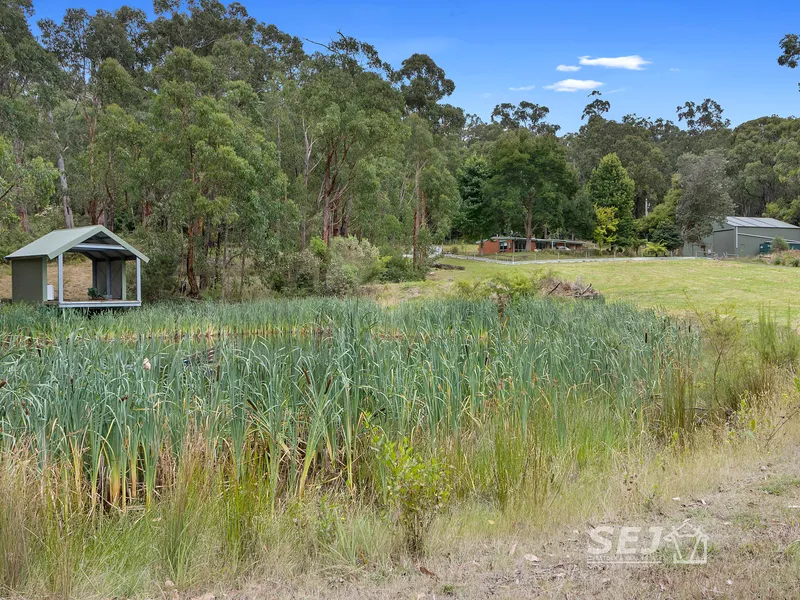 HERE IS A UNIQUE COUNTRY GEM!
