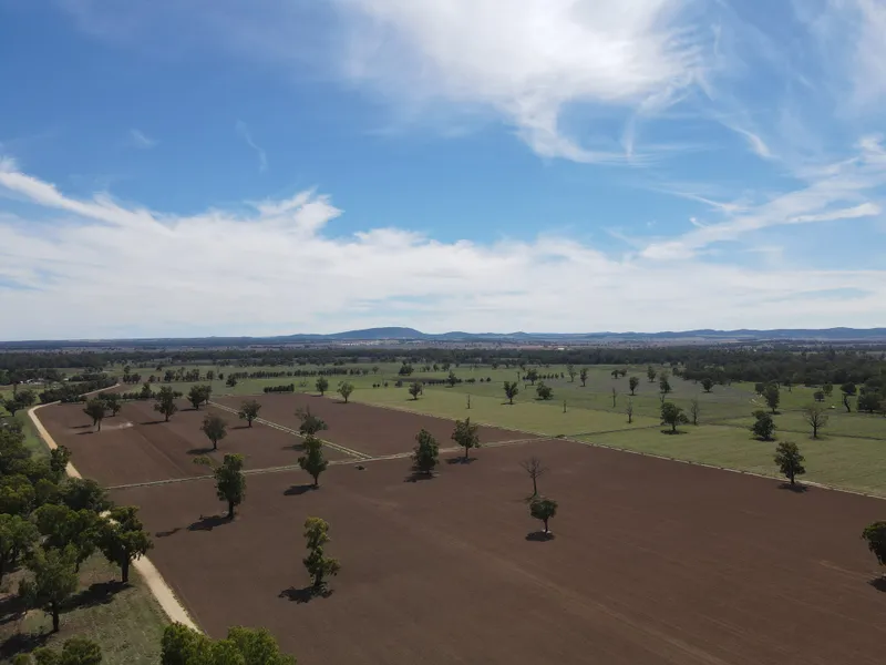 Unique Lachlan River Frontage