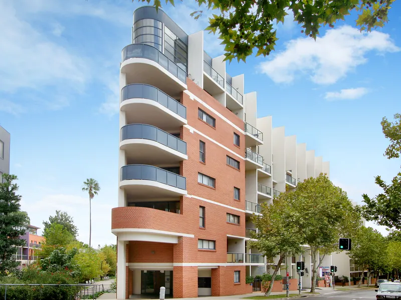 Light Filled Inner-City Oasis