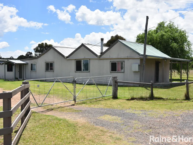 Renovators Delight!