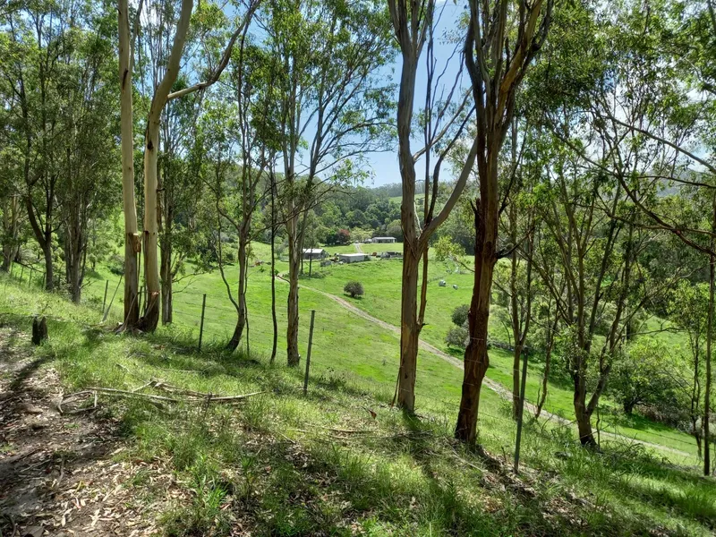 LOVELY ROCK VALLEY - KURRAJONG