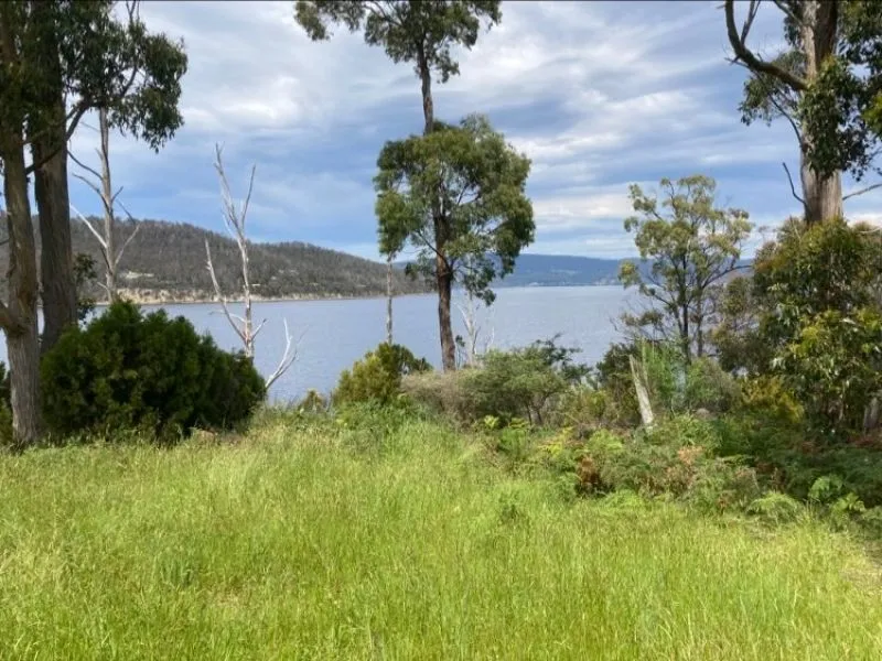 Amazing Waterside Land Available!