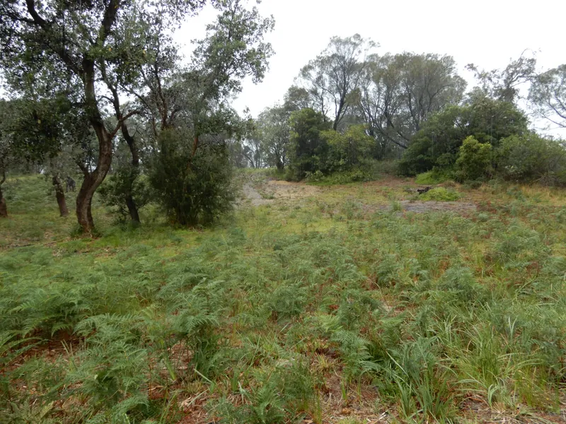 DOUBLE BLOCK ( 1487 sqm ) IN A QUIET LEAFY STREET IN PARADISE BEACH