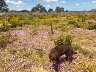 Your new lifestyle awaits!