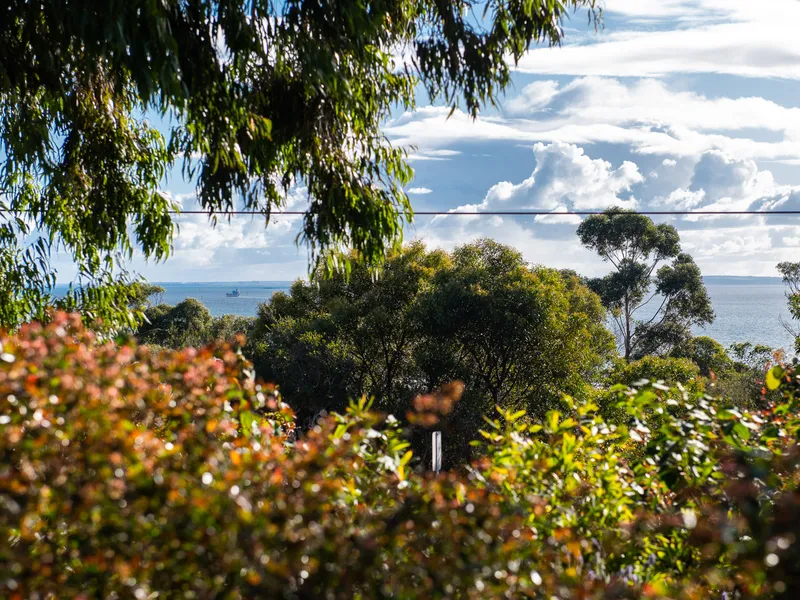 Bay Views on Bayview!