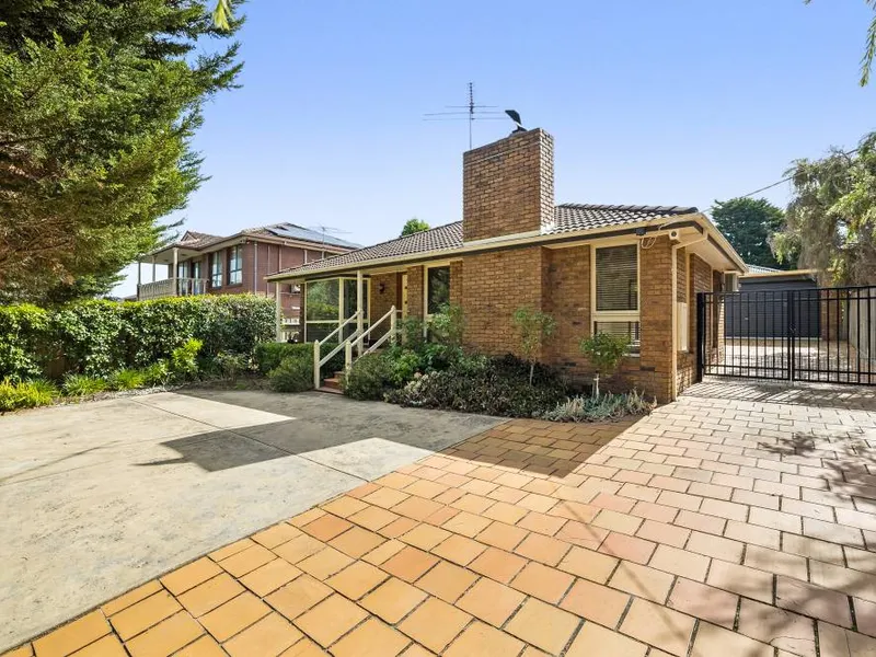 An Absolute Modern Delight