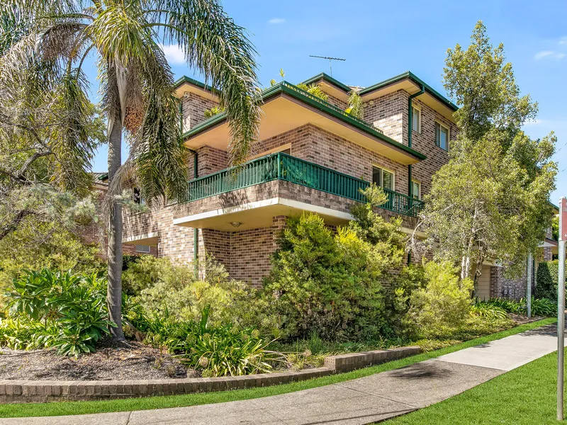 Nature Leafy Views in Street Corner