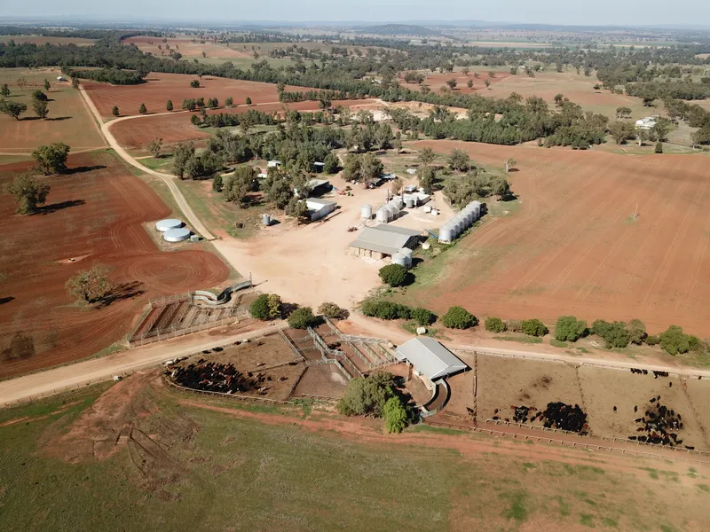 Turn Key Feedlot in Prime NSW Location