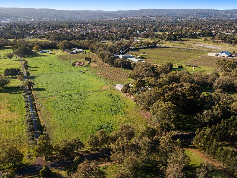 RARE EARTH - BLANK CANVAS