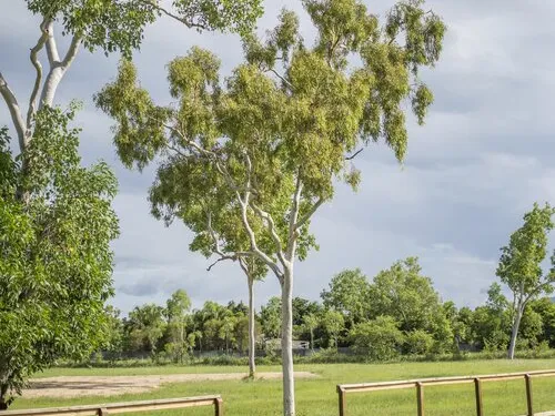 PEACEFUL COUNTRY LIVING