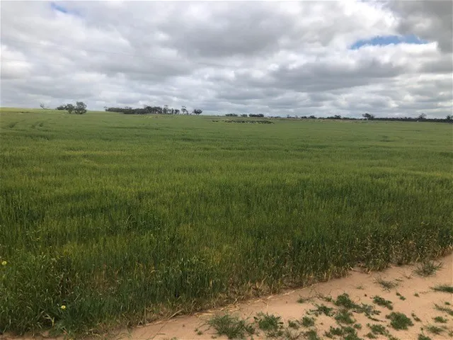 2745 (LOT 51) BUNGULLA NORTH ROAD, NORTH TAMMIN