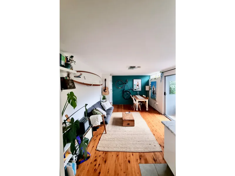 SUNNY ENTRY LEVEL PADDINGTON PAD 