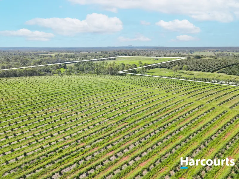 Red Soil, 28.33 Hectares on 2 titles $1,950,000