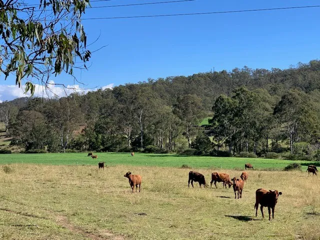 760 ACRES - LIVESTOCK - CULTIVATION - LIFESTYLE