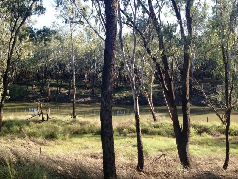 A Block of Potential!